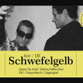 Amber Muse x Schwefelgelb (DE) | LIVE