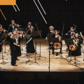 VINETA SAREIKA AND LNSO STRINGS