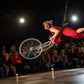 Elephant. Circus Fahraway (CH)